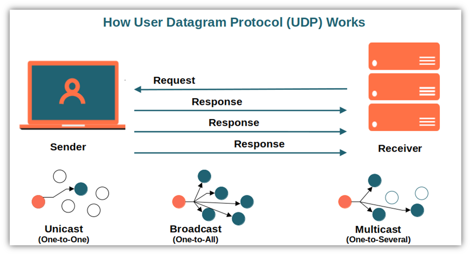 Giao thức Datagram Người dùng