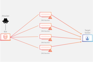 Tấn công DDoS khuếch đại DNS
