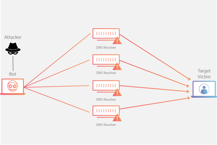 Tấn công DDoS khuếch đại DNS