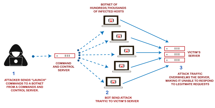 Các cuộc tấn công DDoS thường được thực hiện bởi hackers có tổ chức nhằm khủng bố không gian mạng, mục đích kiếm tiền hay đơn giản chỉ để cho vui.