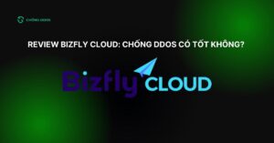 review Bizfly Cloud