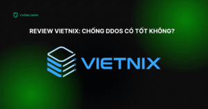 review vietnix