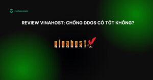 review vinahost